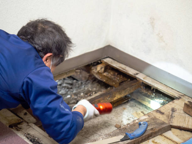 Water Damage Restoration in Volcano Golf Course, HI