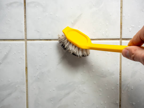 Best Home Mold Removal  in Volcano Golf Course, HI
