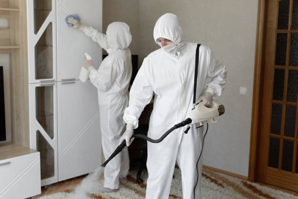 Best Mold Cleaning Services  in Volcano Golf Course, HI